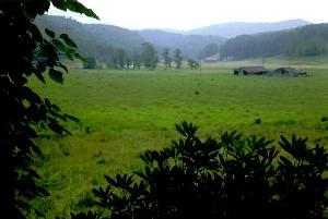 Old Fields Section of Ashe County